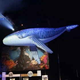 Giant Inflatable Humpback Whale For Aquarium Decoration Orca Sea Animal Balloon