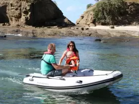 T300S TAKACAT Inflatable Boat Motor #2