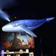 Giant Inflatable Humpback Whale For Aquarium Decoration Orca Sea Animal Balloon