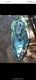 Intex Challenger K2 Inflatable Kayak
