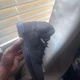 Air Jordan 1 High Zoom Fearless 3M Reflective