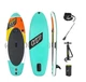 Bestway Hydro Force Paddle Board 8ft Inflatable SUP Set Pump Paddle Youth