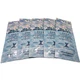 Tan Incorporated Sea It To Believe It 300X Sapphire Hue Shimmer Lotion 5 Packets