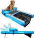 SOLSTICE Inflatable Pup Plank, Dog Water Ramp for Boats & Docks, Boost Step, 220