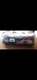 New Ozark Trail 4 Person Dome Tent Camping Outdoor Family Outings Picnic Hiking 