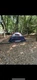 Ozark Trail 4 Person Dome Tent Camping Outdoor Family Outings Picnic Hiking